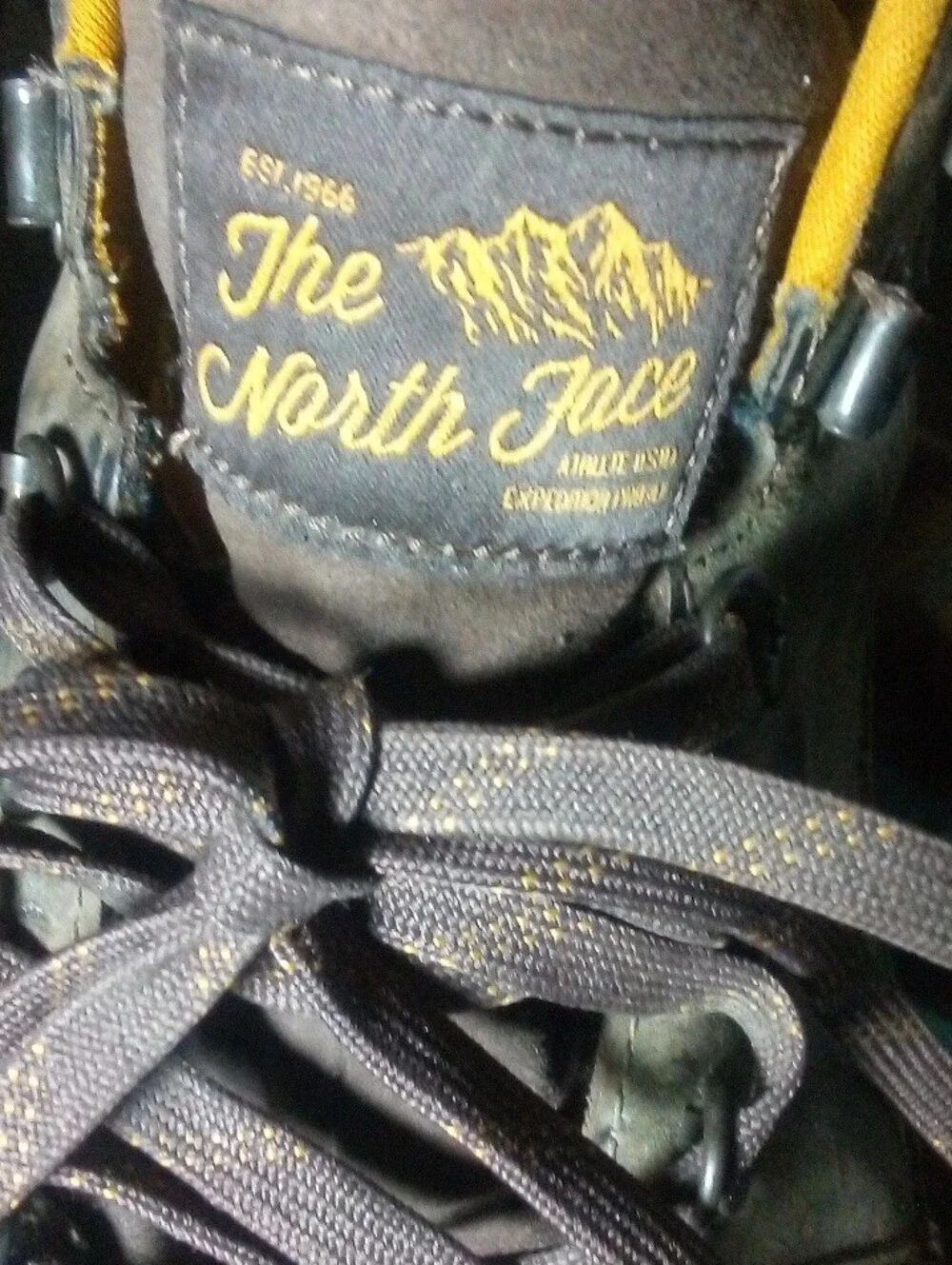 The North Face Men's Olive/Brown Leather Hiking Boots
